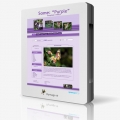 Template 149035 Some Purple Template 149035 Some Purple